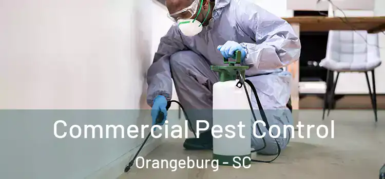 Commercial Pest Control Orangeburg - SC