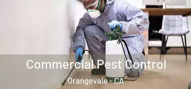  Commercial Pest Control Orangevale - CA