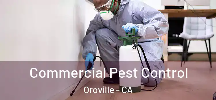 Commercial Pest Control Oroville - CA