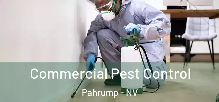  Commercial Pest Control Pahrump - NV