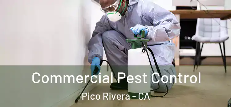 Commercial Pest Control Pico Rivera - CA