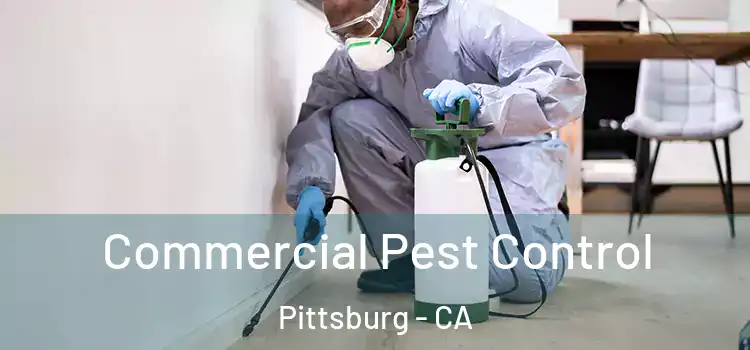  Commercial Pest Control Pittsburg - CA