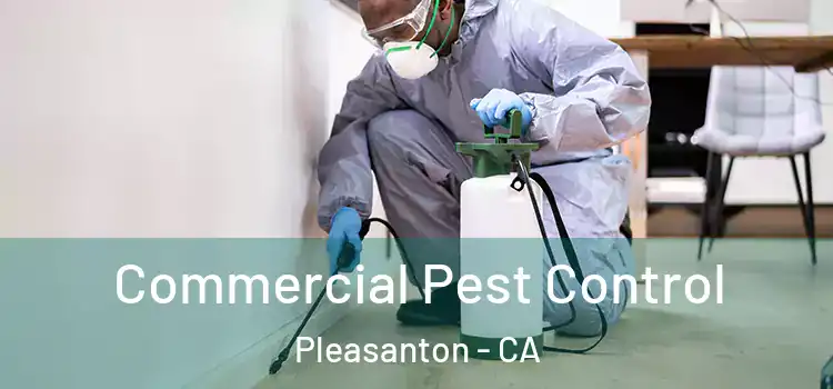 Commercial Pest Control Pleasanton - CA