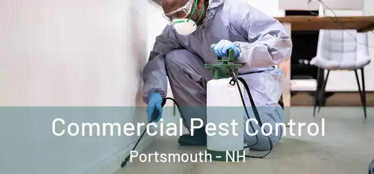 Commercial Pest Control Portsmouth - NH