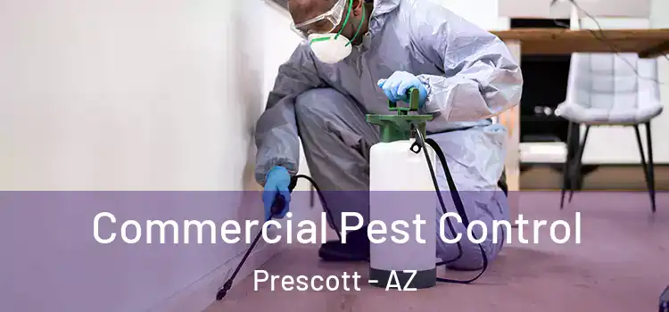  Commercial Pest Control Prescott - AZ