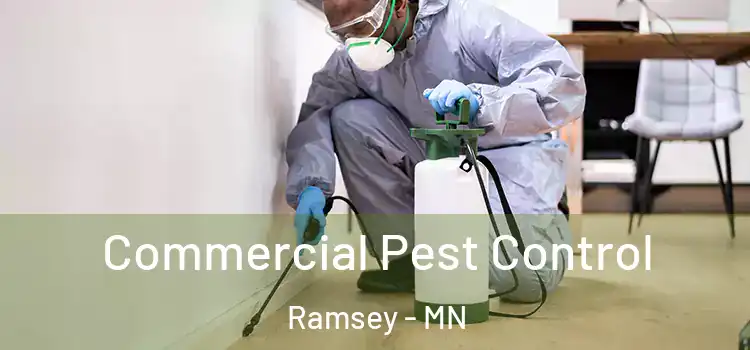  Commercial Pest Control Ramsey - MN
