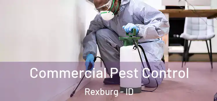 Commercial Pest Control Rexburg - ID