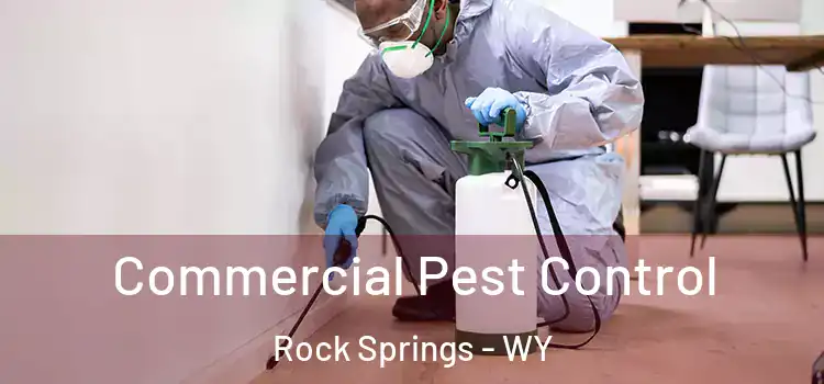 Commercial Pest Control Rock Springs - WY
