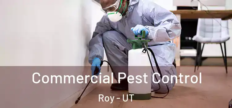  Commercial Pest Control Roy - UT