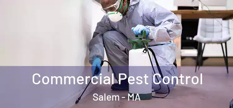 Commercial Pest Control Salem - MA