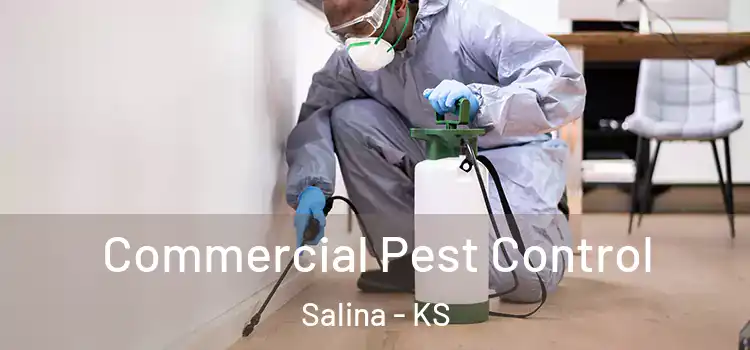 Commercial Pest Control Salina - KS