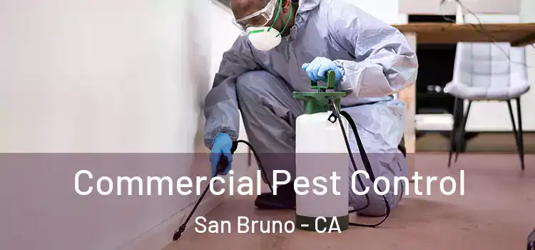  Commercial Pest Control San Bruno - CA