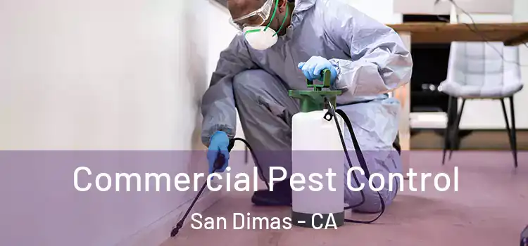 Commercial Pest Control San Dimas - CA