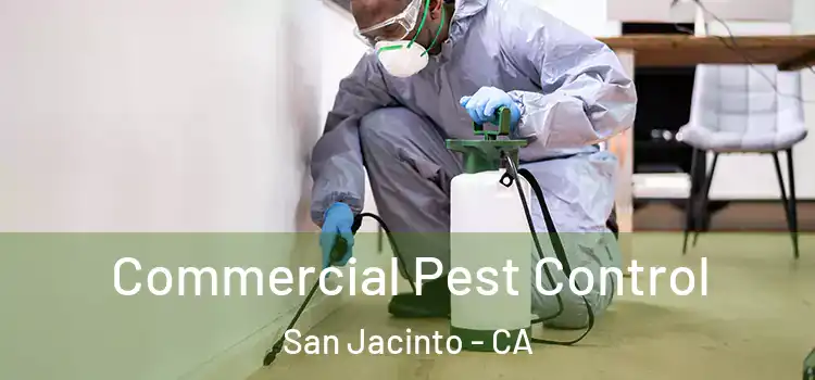  Commercial Pest Control San Jacinto - CA