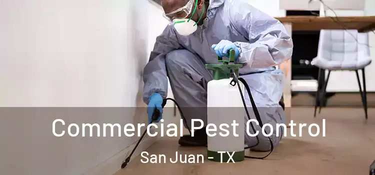  Commercial Pest Control San Juan - TX
