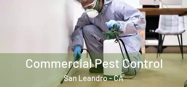Commercial Pest Control San Leandro - CA