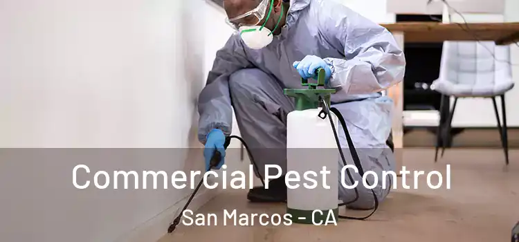 Commercial Pest Control San Marcos - CA