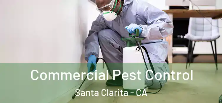  Commercial Pest Control Santa Clarita - CA