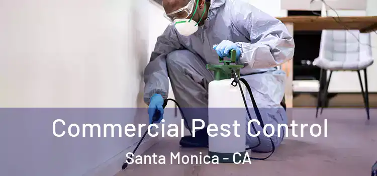 Commercial Pest Control Santa Monica - CA