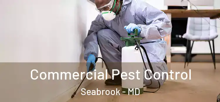 Commercial Pest Control Seabrook - MD