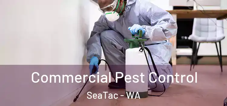  Commercial Pest Control SeaTac - WA