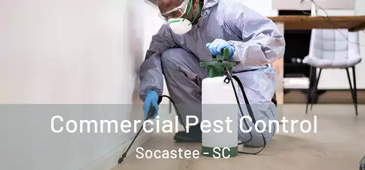  Commercial Pest Control Socastee - SC