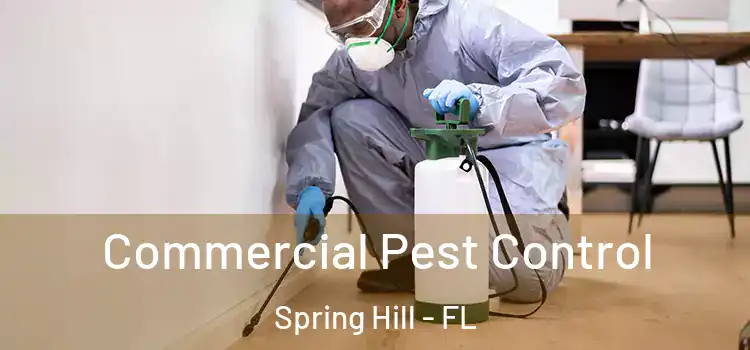  Commercial Pest Control Spring Hill - FL