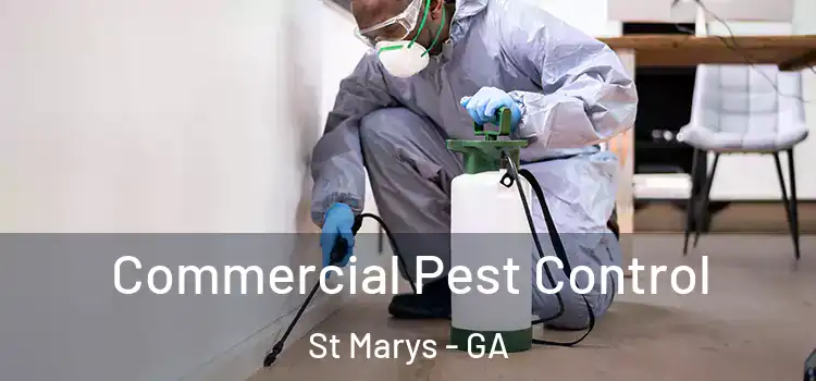  Commercial Pest Control St Marys - GA