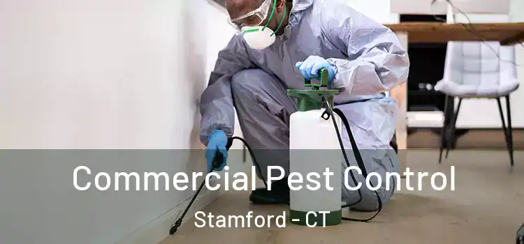 Commercial Pest Control Stamford - CT