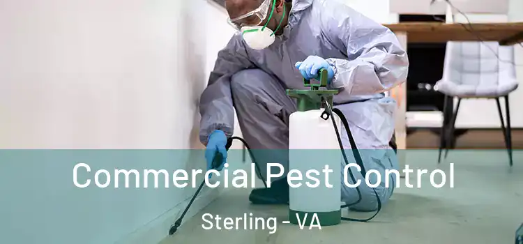  Commercial Pest Control Sterling - VA
