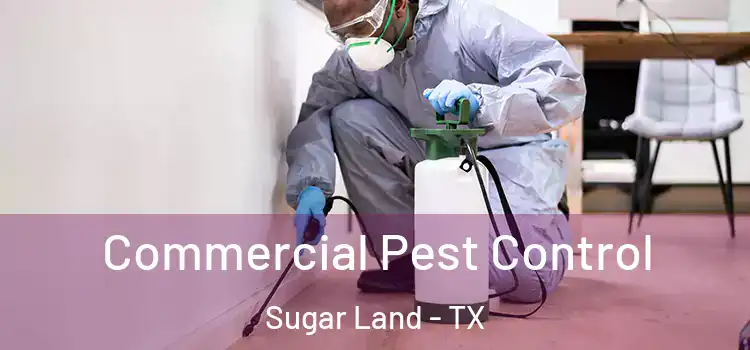  Commercial Pest Control Sugar Land - TX