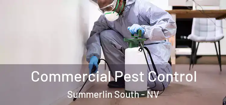  Commercial Pest Control Summerlin South - NV