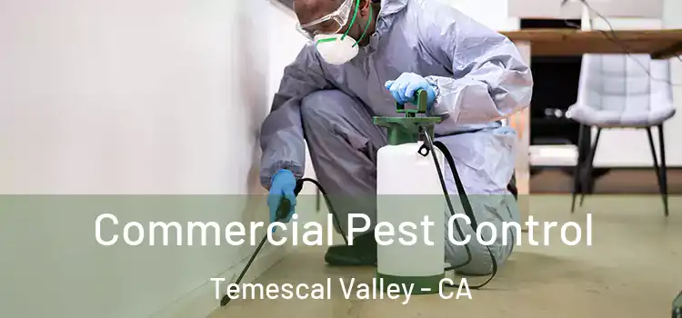 Commercial Pest Control Temescal Valley - CA