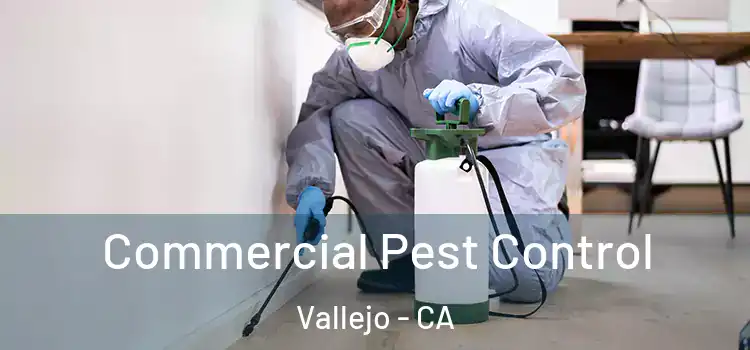 Commercial Pest Control Vallejo - CA
