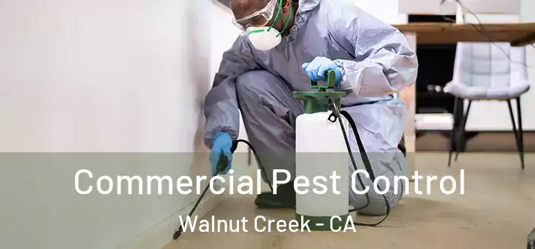  Commercial Pest Control Walnut Creek - CA