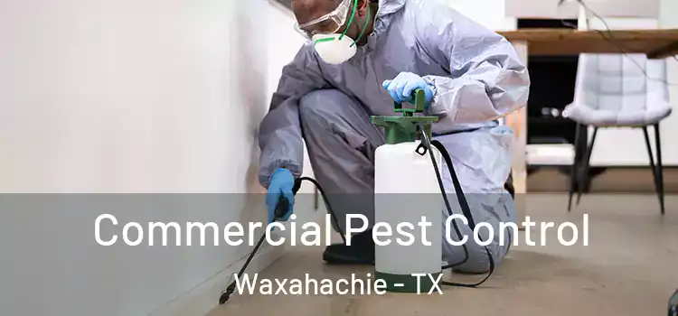  Commercial Pest Control Waxahachie - TX