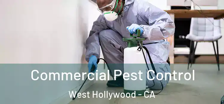 Commercial Pest Control West Hollywood - CA