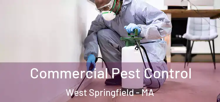  Commercial Pest Control West Springfield - MA