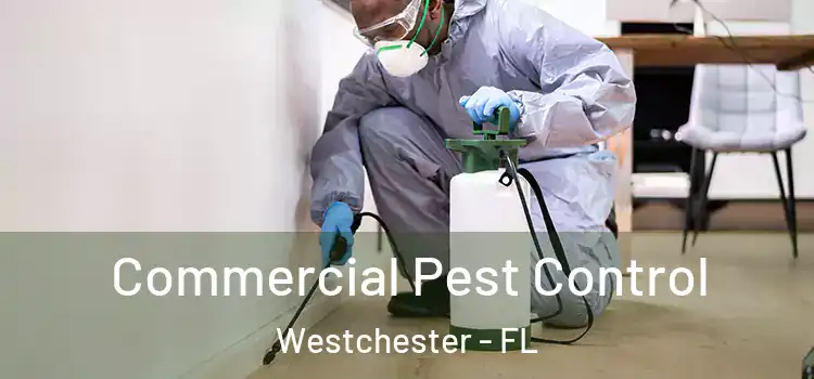  Commercial Pest Control Westchester - FL