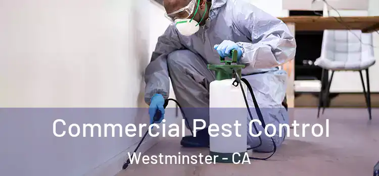  Commercial Pest Control Westminster - CA