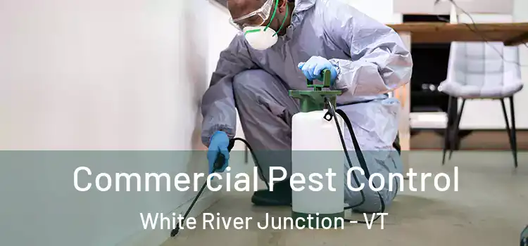  Commercial Pest Control White River Junction - VT