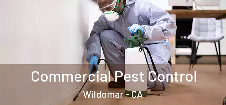 Commercial Pest Control Wildomar - CA