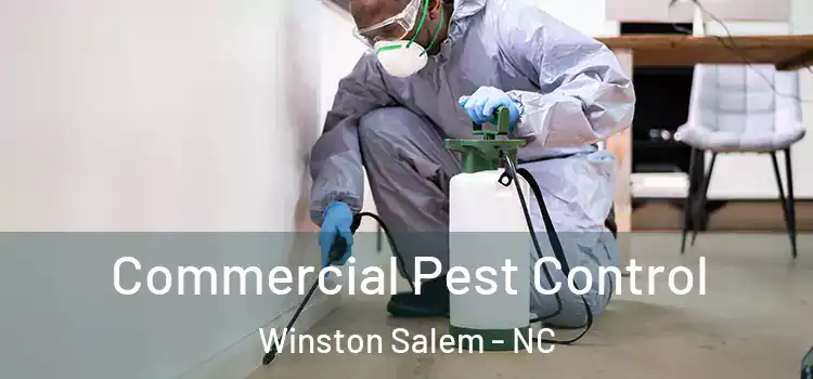 Commercial Pest Control Winston Salem - NC
