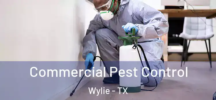  Commercial Pest Control Wylie - TX