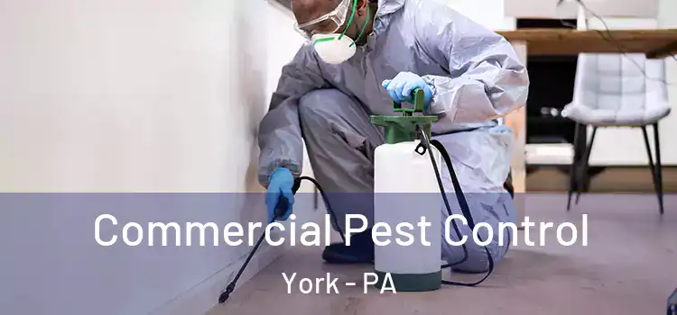  Commercial Pest Control York - PA