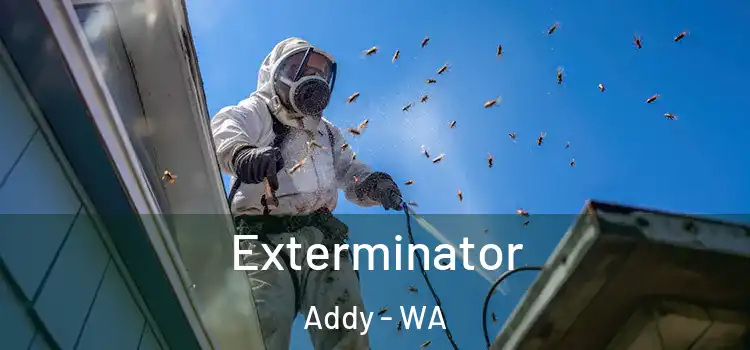  Exterminator Addy - WA