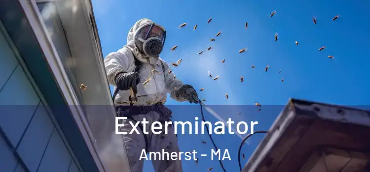  Exterminator Amherst - MA