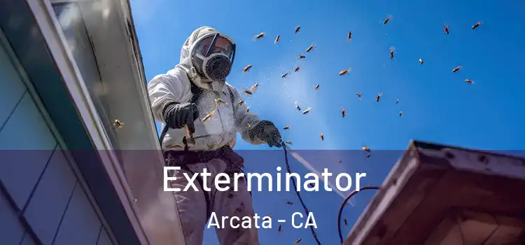  Exterminator Arcata - CA