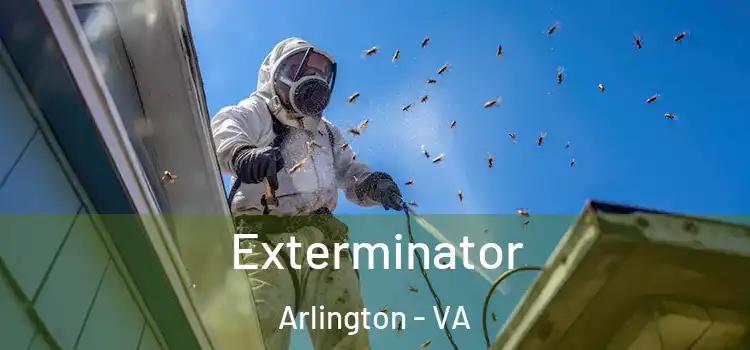 Exterminator Arlington - VA
