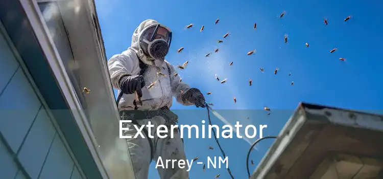 Exterminator Arrey - NM